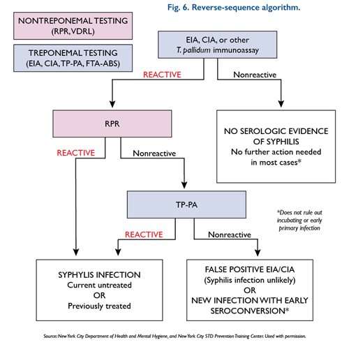 syphilis stages diagram